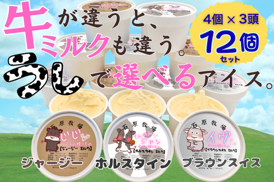 牛で選べるアイスクリーム　3頭食べくらべセット（12個）