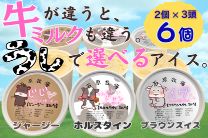 牛で選べるアイスクリーム　3頭食べくらべセット（6個）