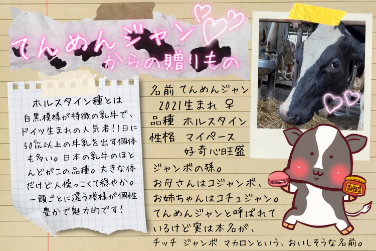 牛で選べるアイスクリーム　3頭食べくらべセット（12個）