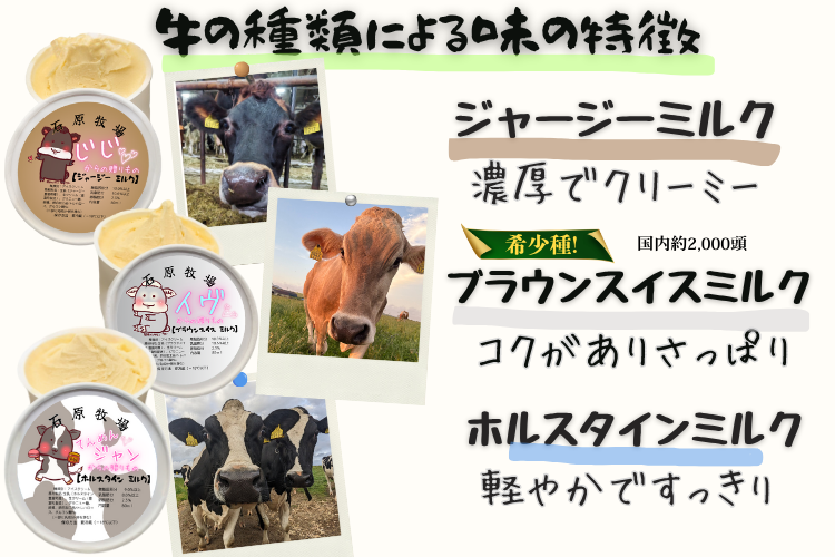 牛で選べるアイスクリーム　3頭食べくらべセット（3個）