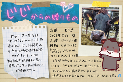 牛で選べるアイスクリーム　3頭食べくらべセット（12個）