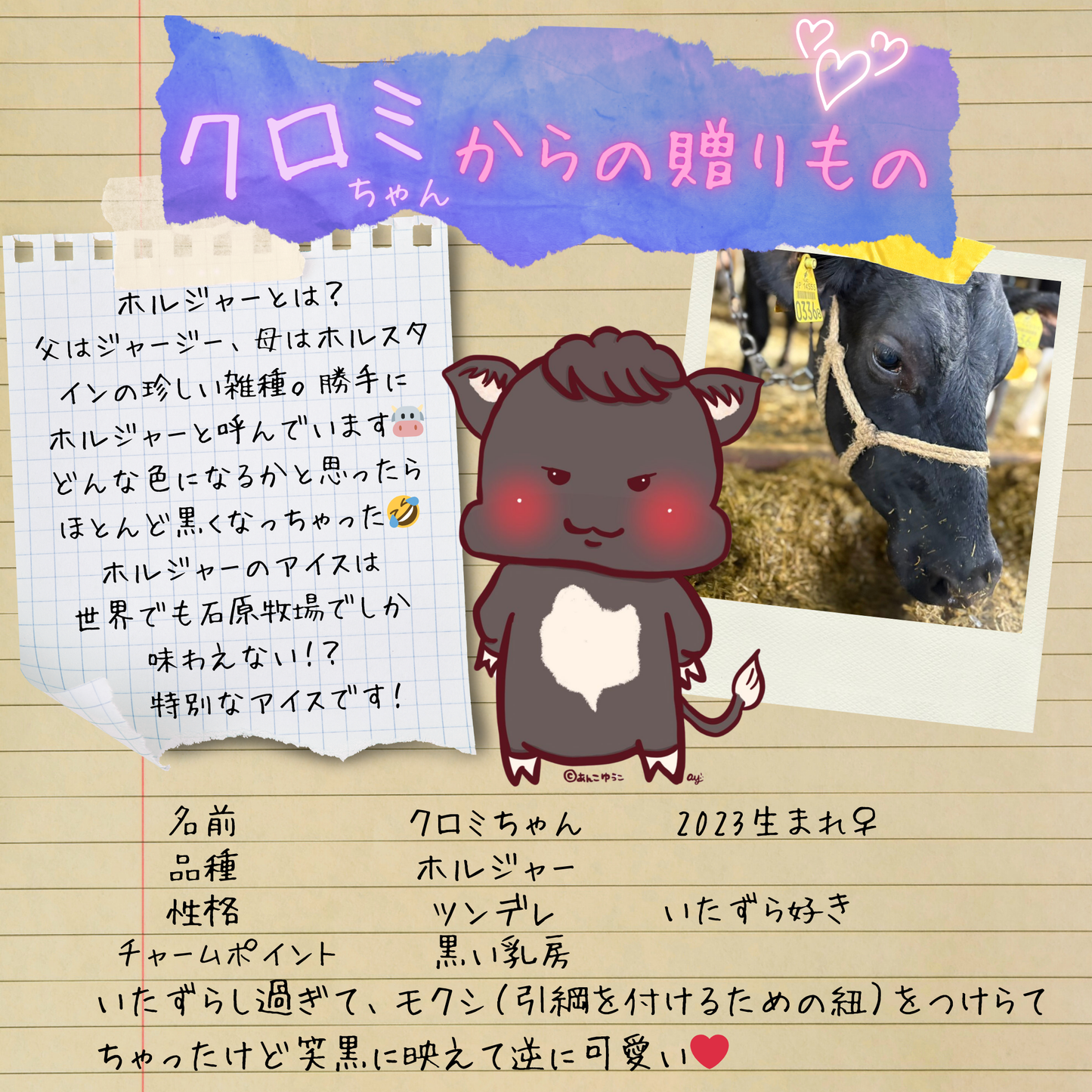 クロミちゃんからの贈りもの（ホルジャー）