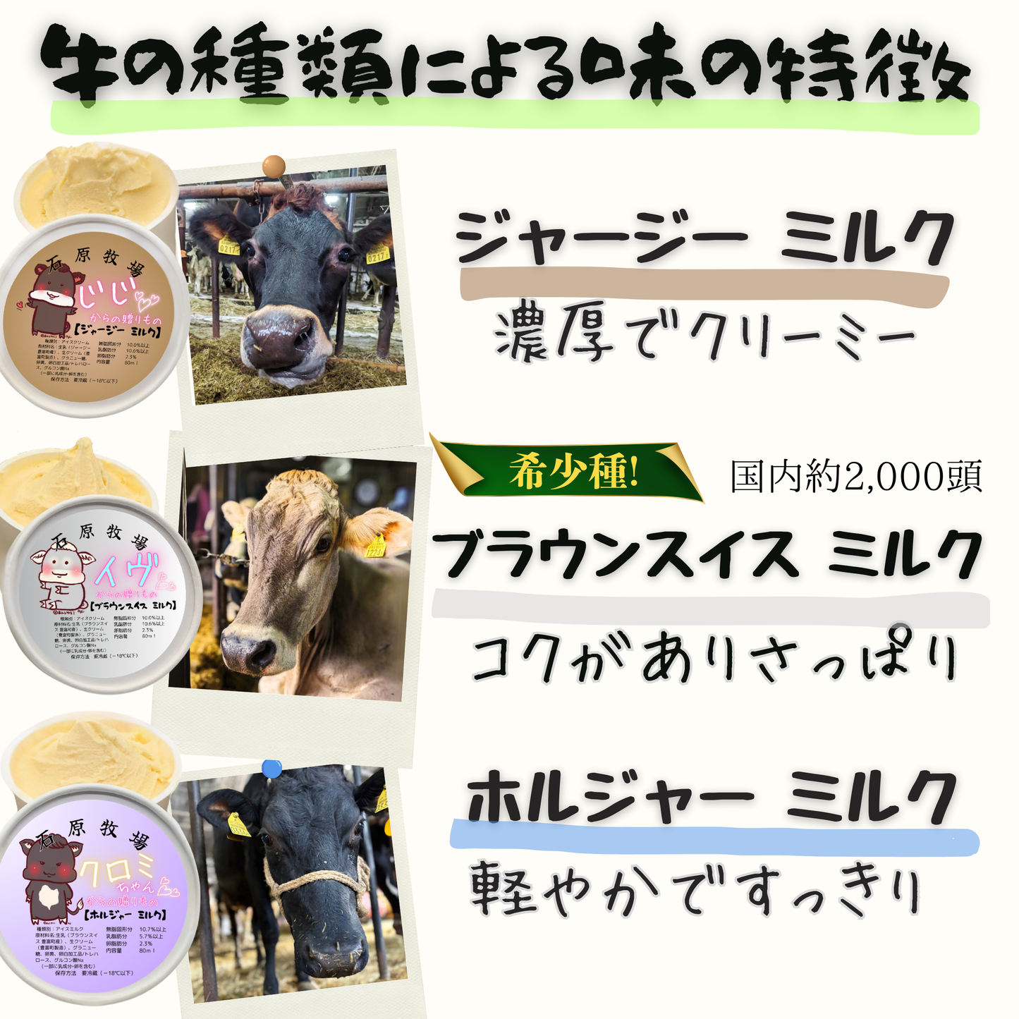 牛の種類による味の特徴